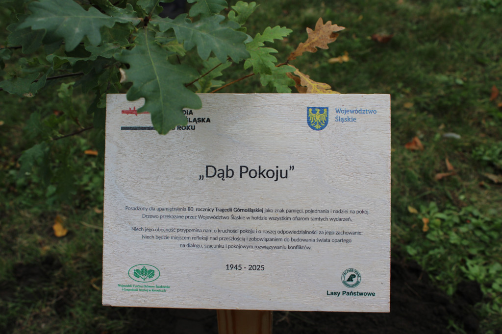 Aktualności