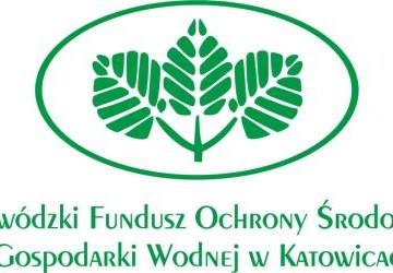 Spotkanie warsztatowe w obszarze zagadnień z zakresu edukacji ekologicznej i ochrony przyrody dla organizacji pozarządowych