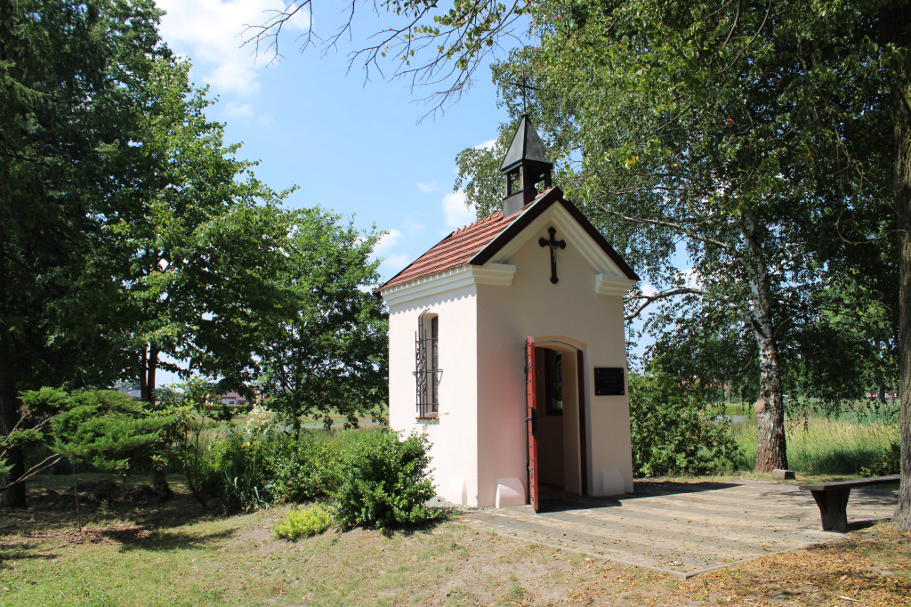 Aktualności